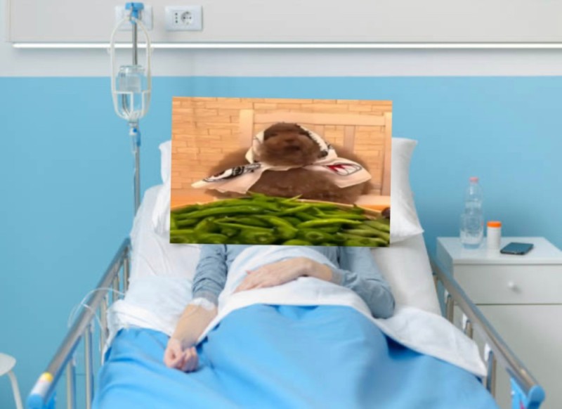 Create meme: I'm in the hospital, people , interior