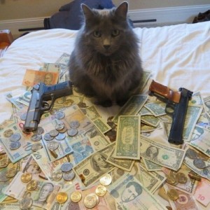 Create meme: money, money and guns, gangster cat