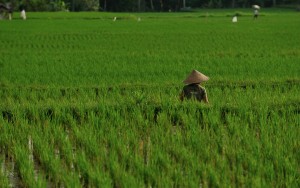 Создать мем: farmer, иероглифы, конфуций что хотел донести