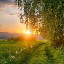 Create meme: sun nature, good morning landscape, morning landscape