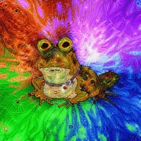 Create meme: hypnotoad, Hypnotoad futurama, Hypnotoad photo