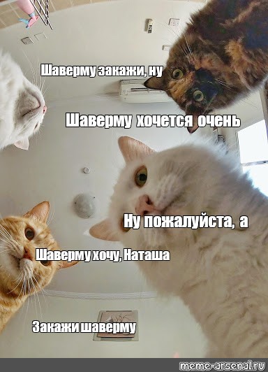 Ну закажи