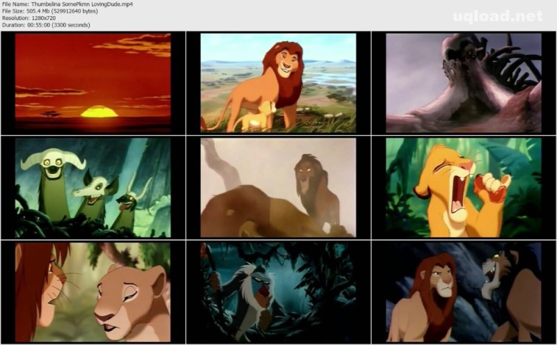 Create meme: The Lion King 1 1994, The Lion King cartoon, Mufasa the lion king