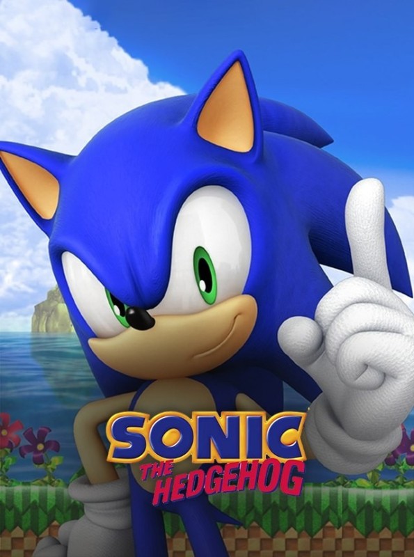 Create meme: Sonic the hedgehog game, sonic game, The game is about Sonic