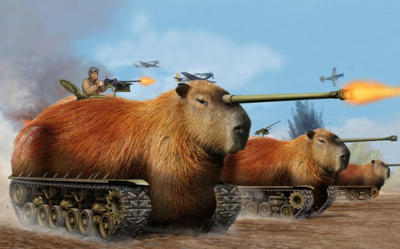 Create meme: capybara, Capybara General, capybara animal