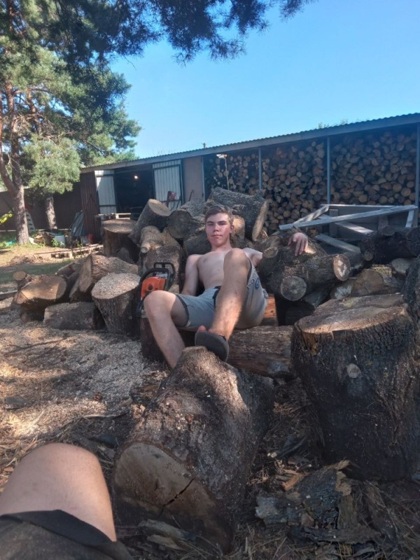 Create meme: tree , sergey rybakov, recreation on the lake