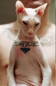 Create meme: cat, tattoo necklace, summer tattoo