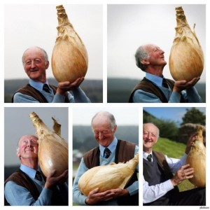 Create meme: onion , onion joke, funny onion