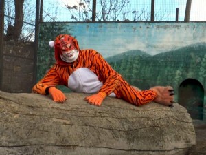 Создать мем: костюм тигра, образ тигра, человек