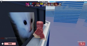 Create meme: game, cat, kitten simulator