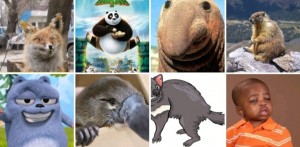 Create meme: platypus animal, funny animals, people