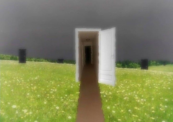 Create meme: open door, the door to the field, The door to a new world