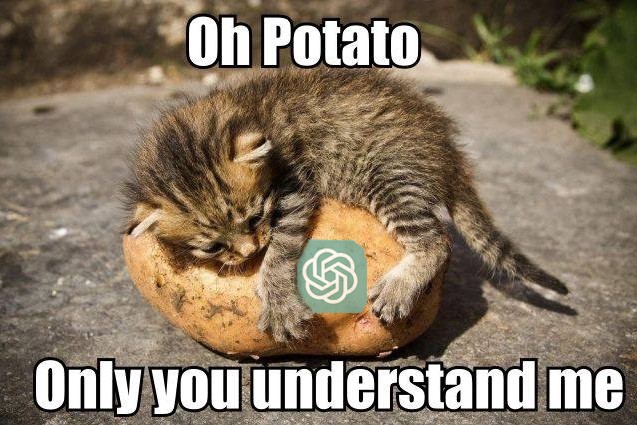 Create meme: cat , cat potatoes, a cat eats potatoes