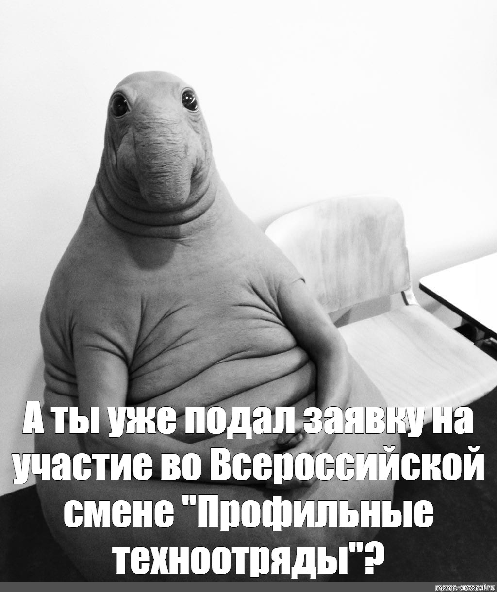 Прикольные ждуны