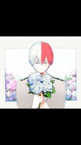 Create meme: todoroki Shoto