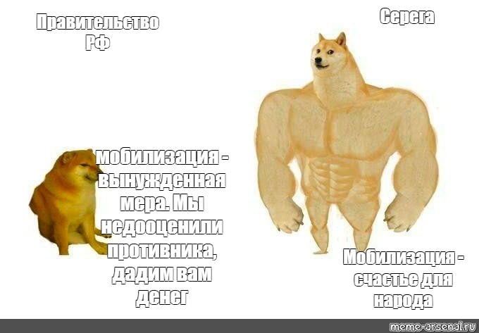 Мкк дадим денег