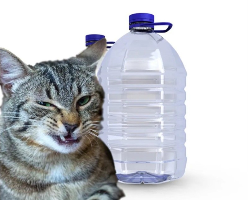 Create meme: cat is fun , leave the cat water, cat 