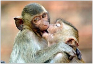 Create meme: kiss, kiss with tongue, monkey