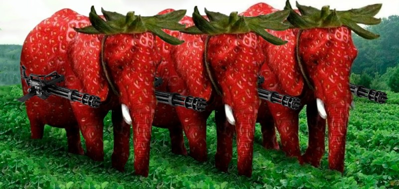 Create meme: strawberry elephant, elephant strawberry, GMO 