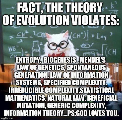 Create meme: cat chemistry, theory of evolution, chemistry