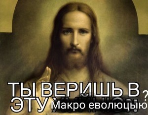 Create meme: portrait of jesus christ, lifetime portrait of jesus christ, The Shroud of Turin the face of Christ