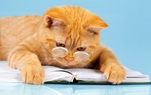 Create meme: library, scientist cat, cat
