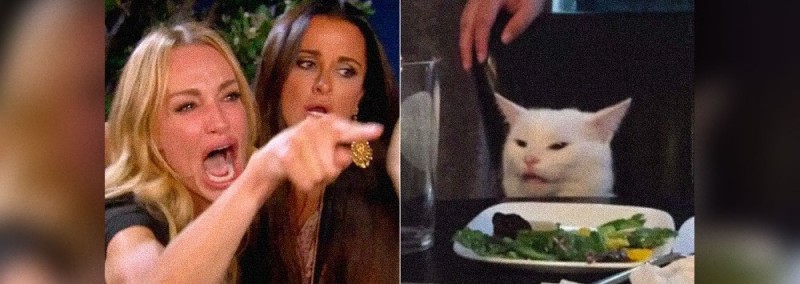 Create meme: meme with a cat in a restaurant, meme with a cat and two women, cat and woman meme