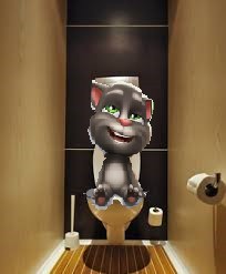 Create meme: My Talking Tom, cat Tom video, pictures talking Tom cat