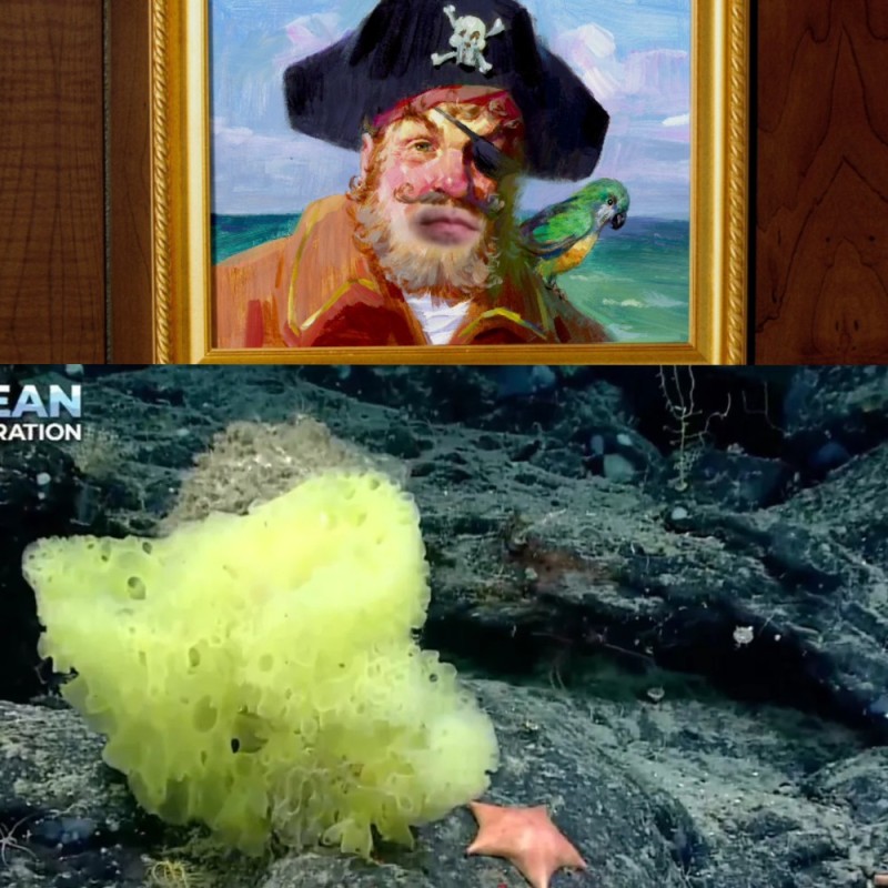 Create meme: spongebob Patrick, Patrick from spongebob, Yes Captain SpongeBob