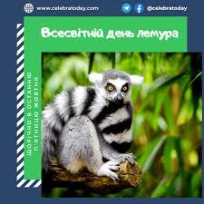 Create meme: ring-tailed lemur , lemur , a ring-tailed lemur 