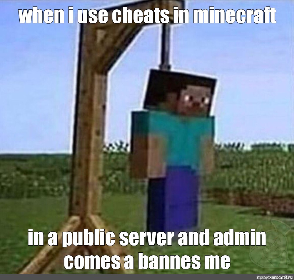 Meme When I Use Cheats In Minecraft All Templates Meme 5724