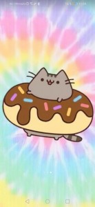 Create meme: pusheen, pusheen cat