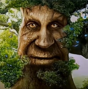 Создать мем: живое дерево, сказочное дерево, мудрое мистическое дерево