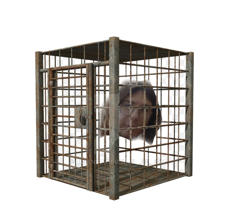 Create meme: the cage is metal, the cage is square, a large cage 