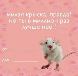 Create meme: mouse rat, Valentines memes, cute Valentines