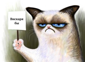 Create meme: gloomy cat, cats, grumpy cat