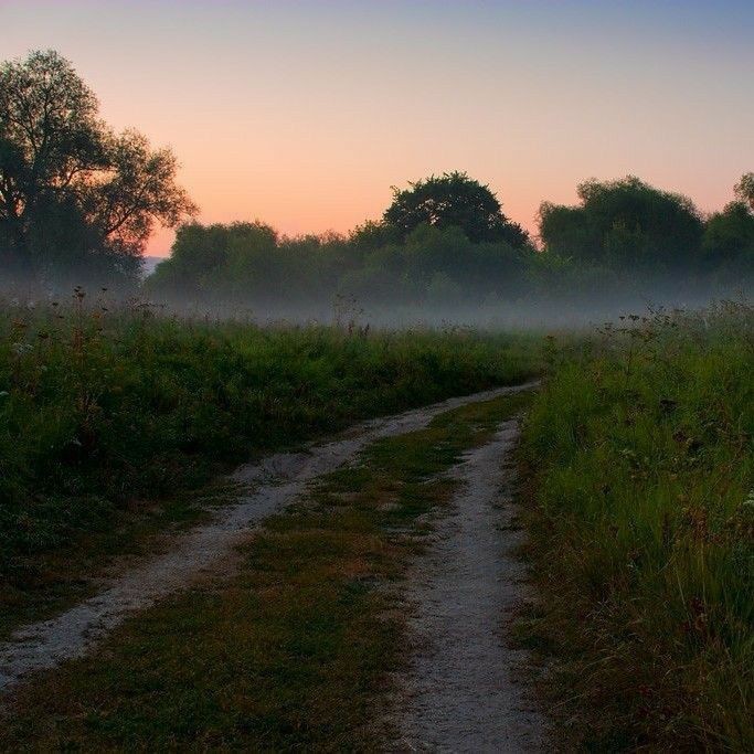 Create meme: landscape dawn, morning fog , dawn fog road