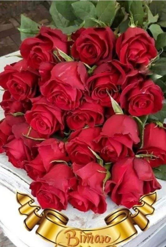 Create meme: beautiful roses , beautiful flowers , flowers beautiful bouquets