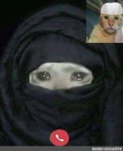 Create meme: a cat in a hijab, the arab cat, muslim woman with a cat