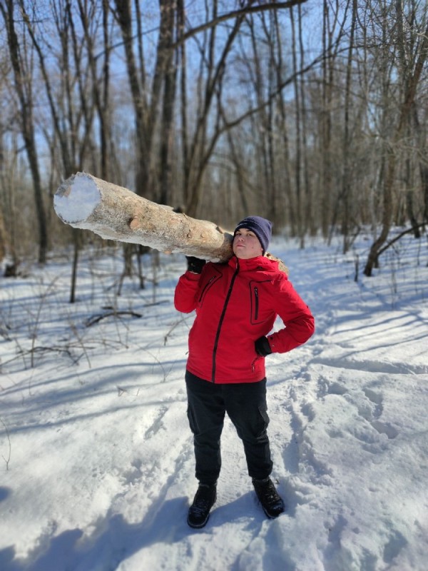 Create meme: on a tree, harvesting of firewood, male 