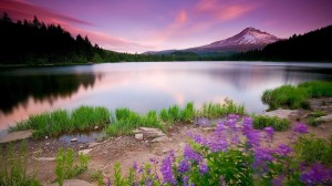 Create meme: nature, nature beauty, landscape lake