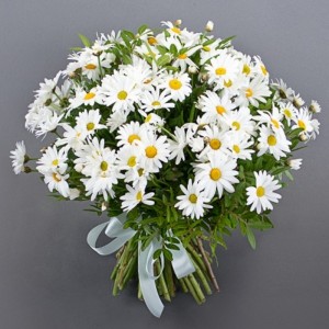 Create meme: bouquet of daisies Catherine, day daisies, a beautiful bouquet of daisies