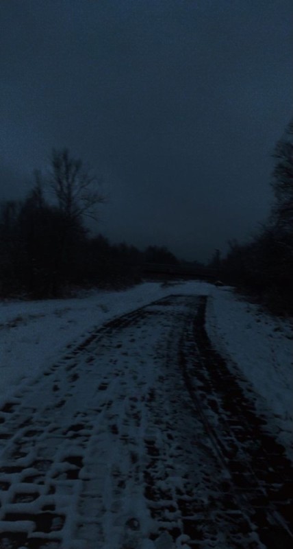 Create meme: night snow, road , dark forest