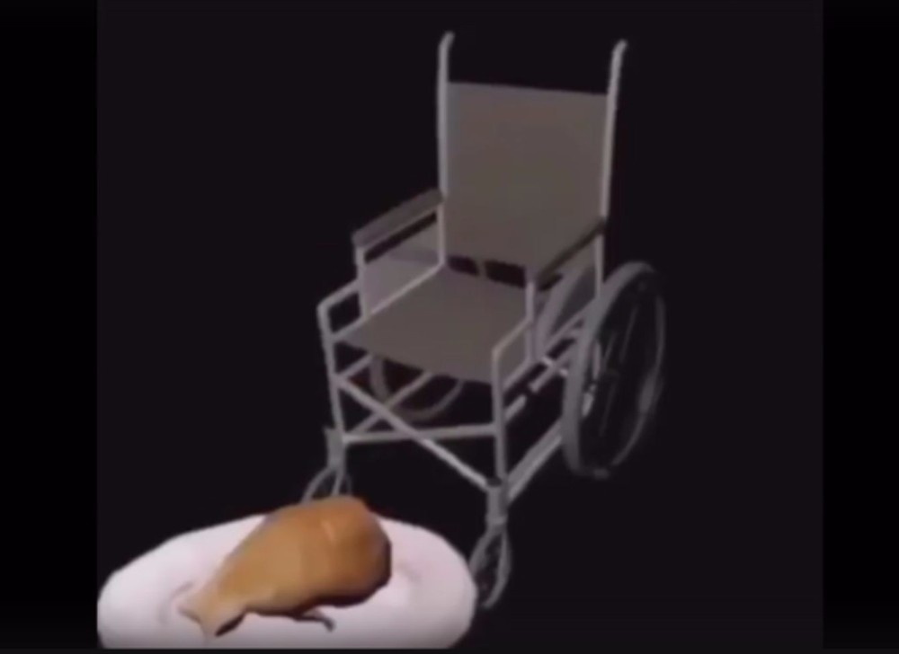 cat in wheelchair gif