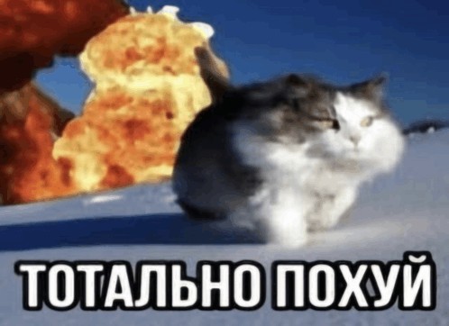 Create meme: cat on the background of an explosion, cat , cat explosion