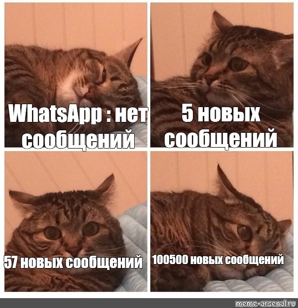 У вас нет новых сообщений когда звоню мтс