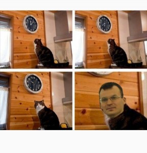 Create meme: memes with cats, meme the cat and the clock time, watch the cat and the meme template