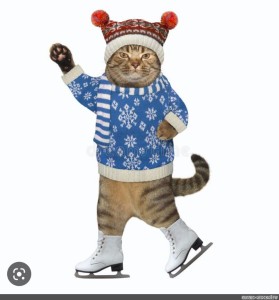 Create meme: cat on skates, a cat in a sweater, a cat in a hat and felt boots