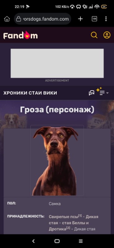 Создать мем: dog, собака белла, хроники стаи ветерок