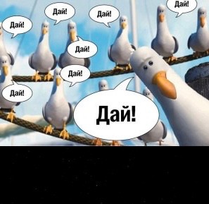 Create meme: seagulls Nemo, gulls give, Seagull from Nemo